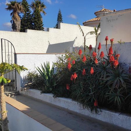 A Little Paradise With Super Views In Almuñécar Exteriér fotografie