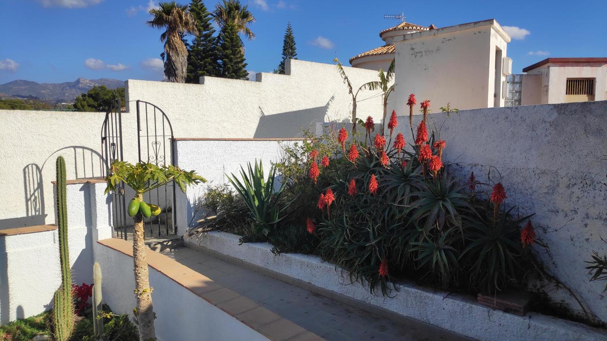 A Little Paradise With Super Views In Almuñécar Exteriér fotografie